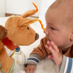 Baby Aktiv-Eichhörnchen
