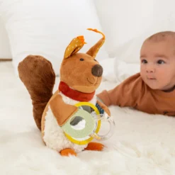 Baby Aktiv-Eichhörnchen