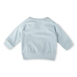 Baby Langarmshirt Wal, blau