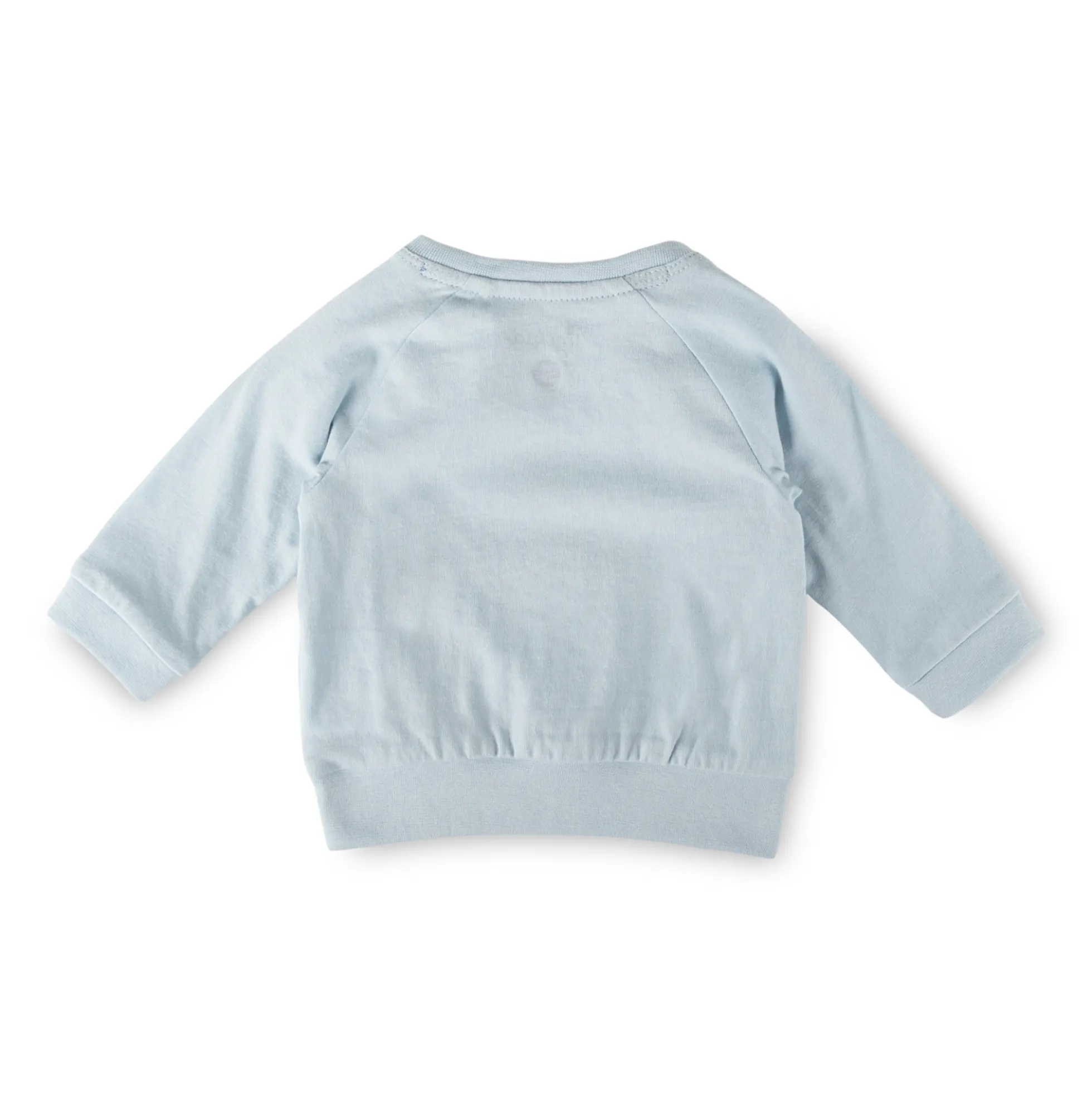 Baby Langarmshirt Wal, blau