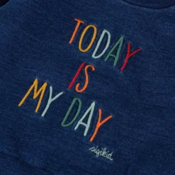 Baby Sweatshirt Denim Optik bunt bestickt, dunkelblau