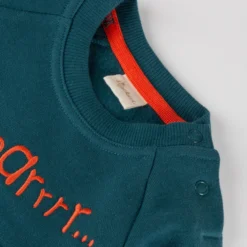 Baby Sweatshirt Roar mit Fronttasche, Dino Fun