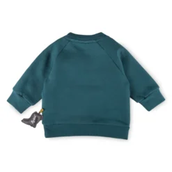 Baby Sweatshirt Roar mit Fronttasche, Dino Fun