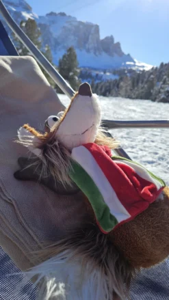 Beasts Kuschelfuchs Nino Passione, Sportfan