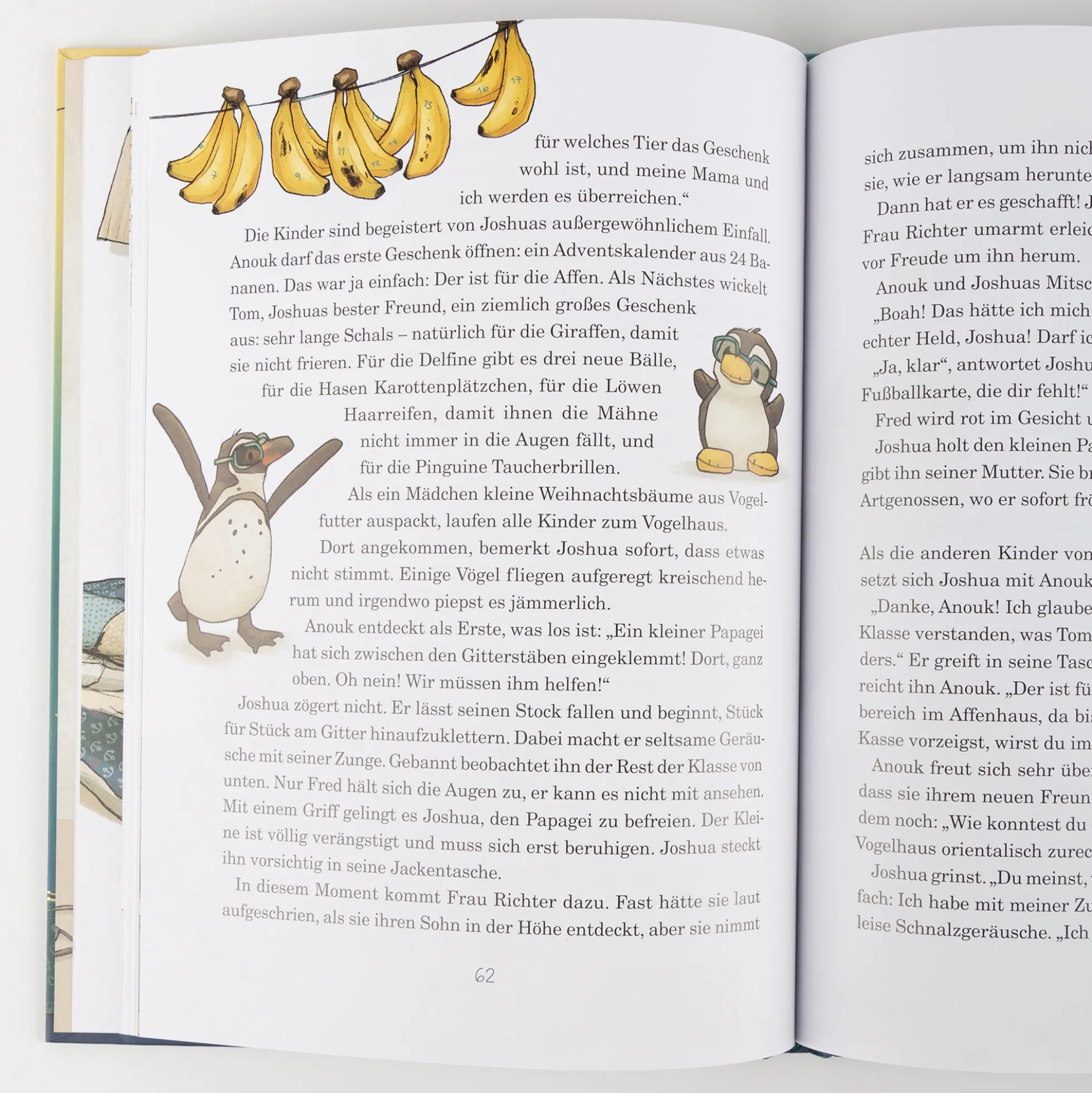 Kinderbuch Anouk und das Geheimnis der Weihnachtszeit