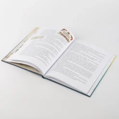 Kinderbuch Anouk und das Geheimnis der Weihnachtszeit