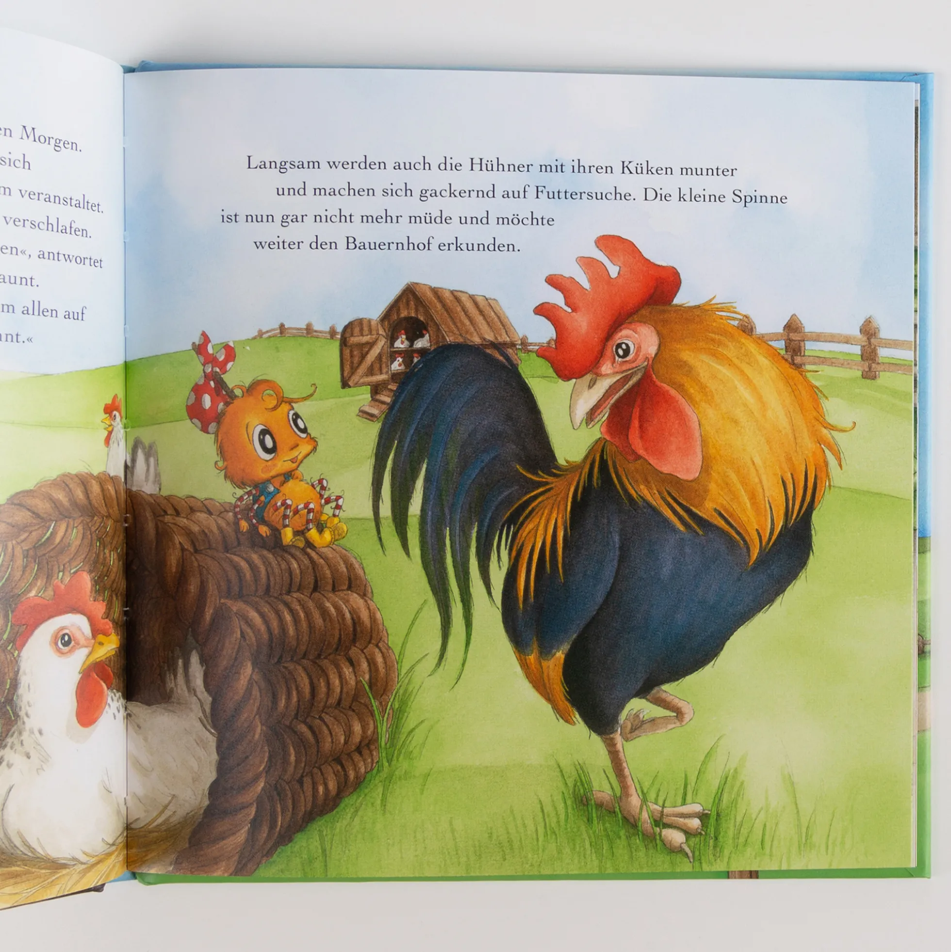 Kinderbuch Ferien auf dem Bauernhof - Die kleine Spinne Widerlich MIni-Ausgabe