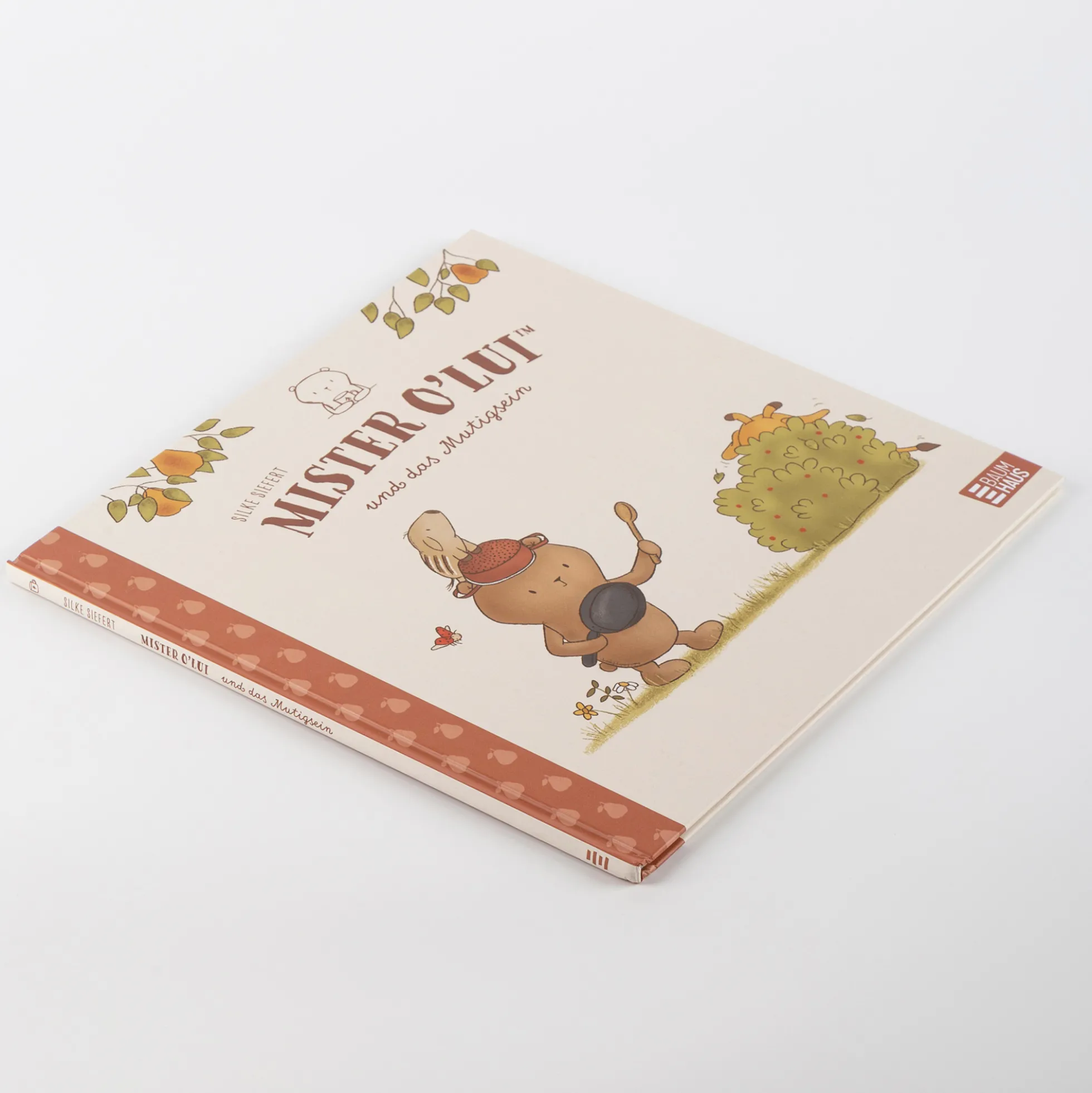 Kinderbuch Mister O'Lui und das Mutigsein