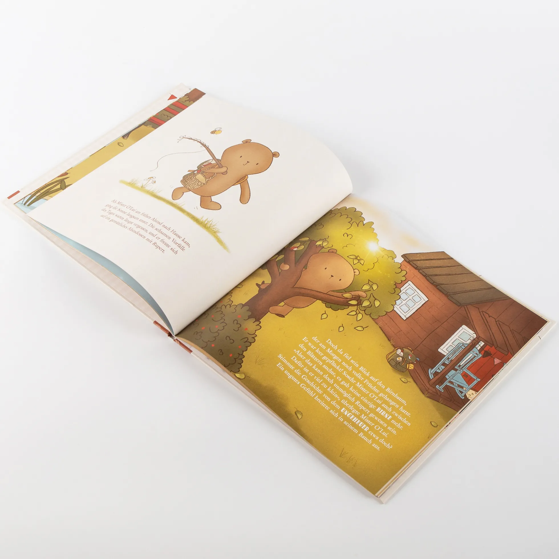 Kinderbuch Mister O'Lui und das Mutigsein