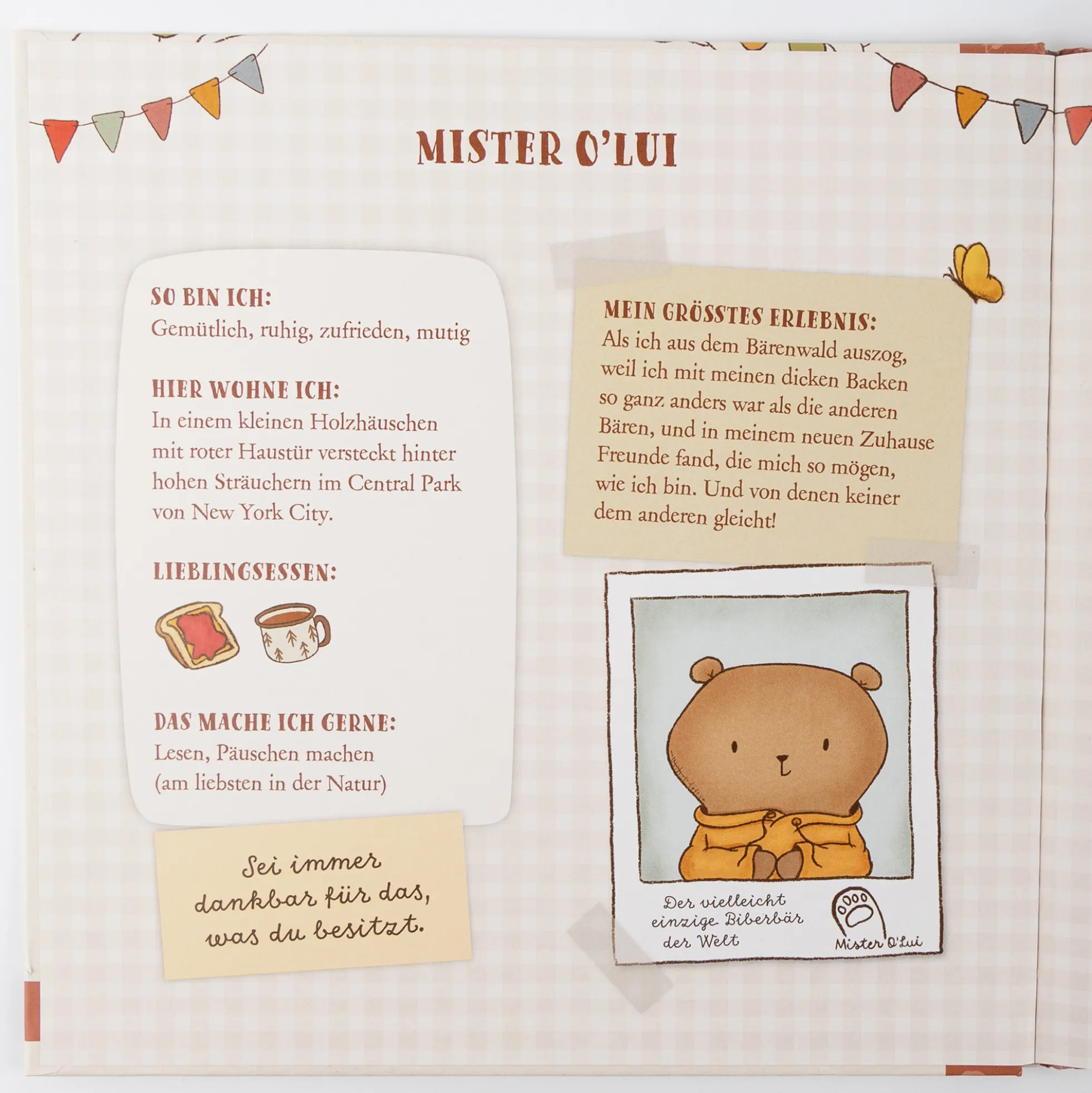 Kinderbuch Mister O'Lui und das Mutigsein