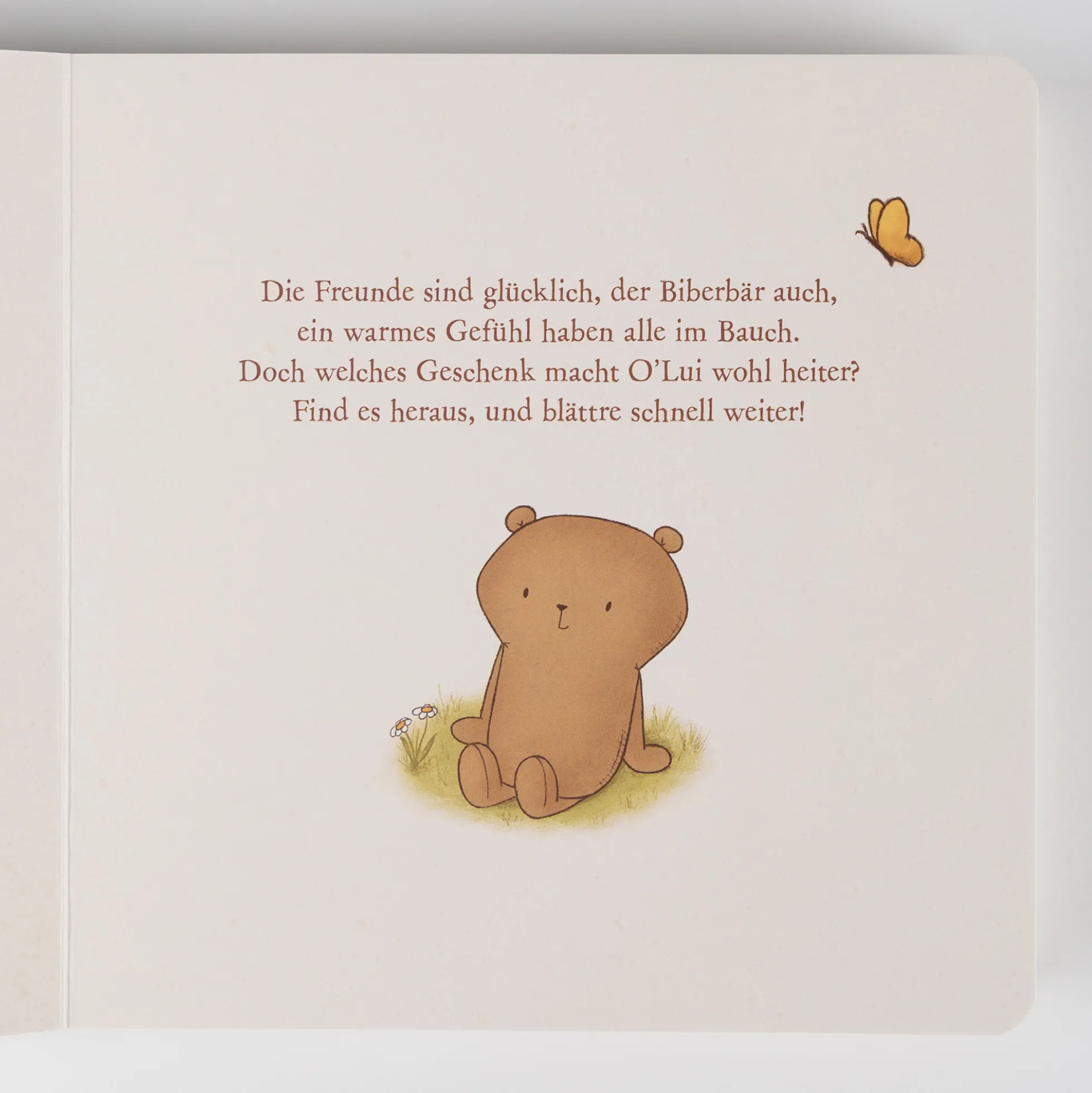 Kinderbuch Mister O'Lui und das schönste Geschenk der Welt