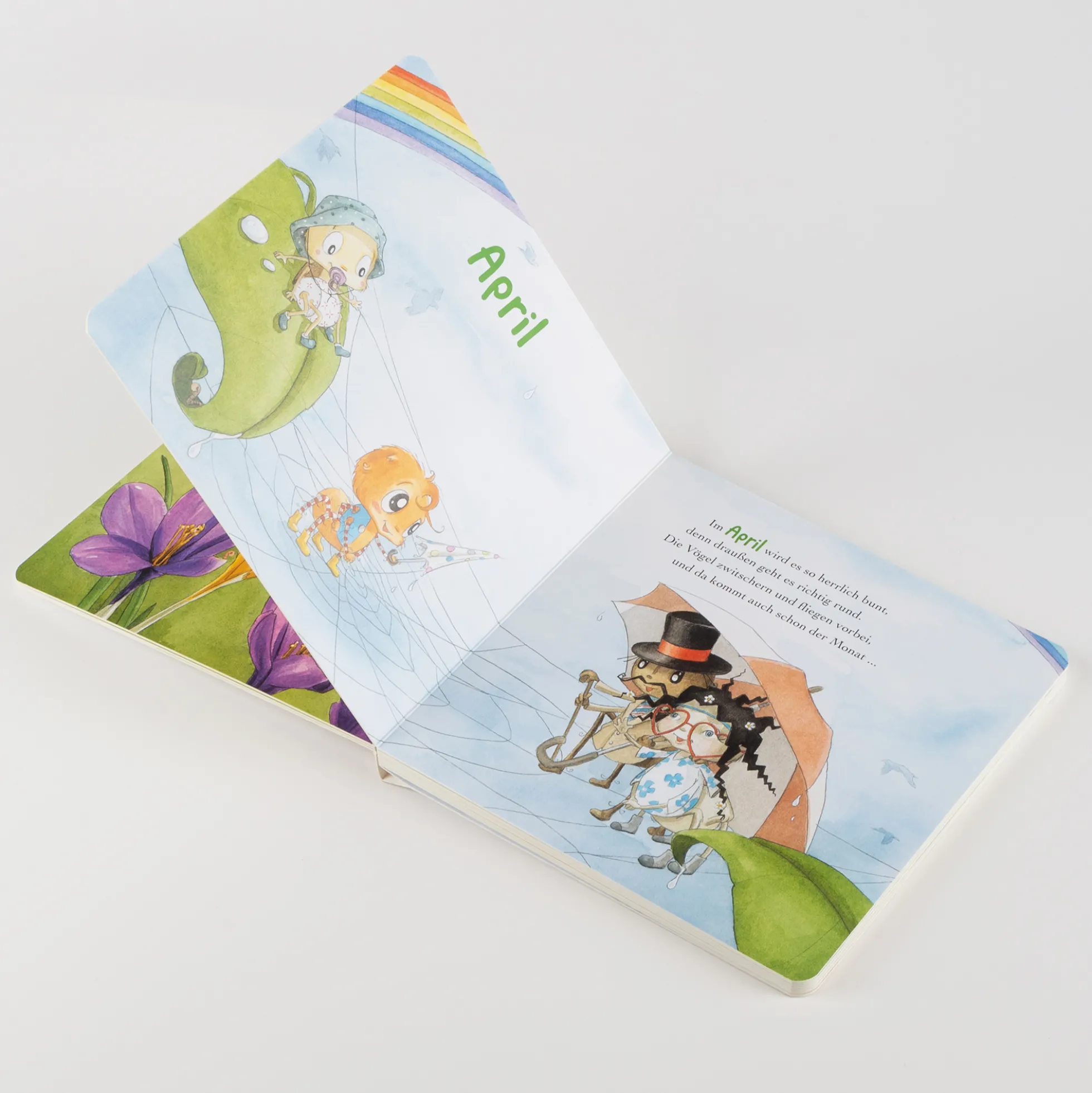 Kinderbuch Mit der kleinen Spinne Widerlich durch das Jahr - Pappbilderbuch