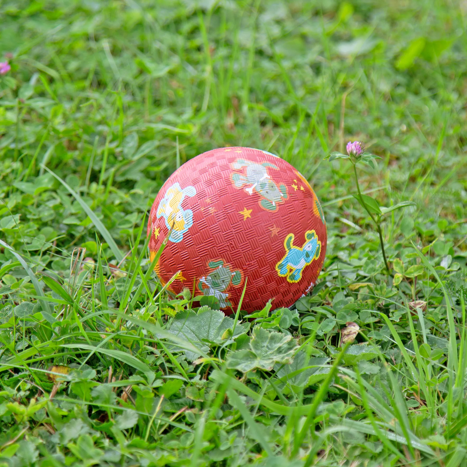 Kinder Mini-Spielball Hund