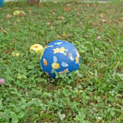 Kinder Spielball Wald