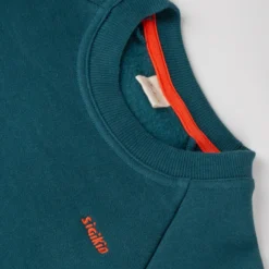 Kinder Sweatshirt Dinosaurier, Dino Fun