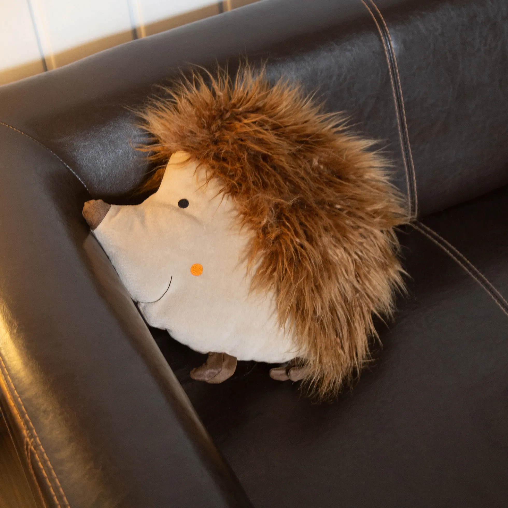 Kissen Igel