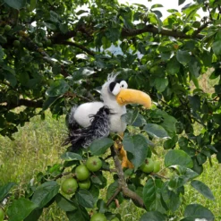 Kuschelvogel Möwe Loud in the Cloud,Beasts