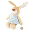 Namensspieluhr Hase türkis