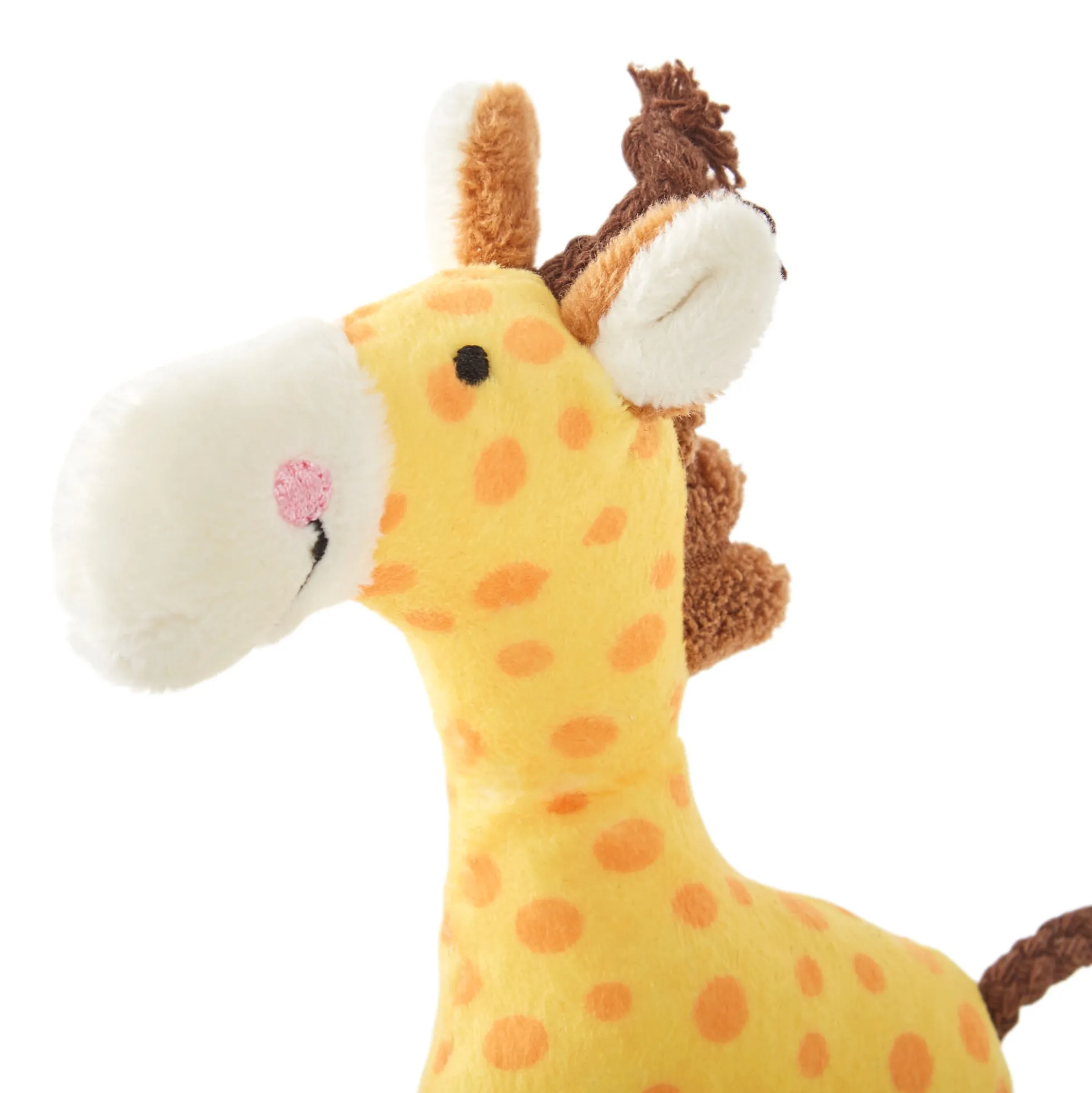 Rassel Giraffe, Red Stars